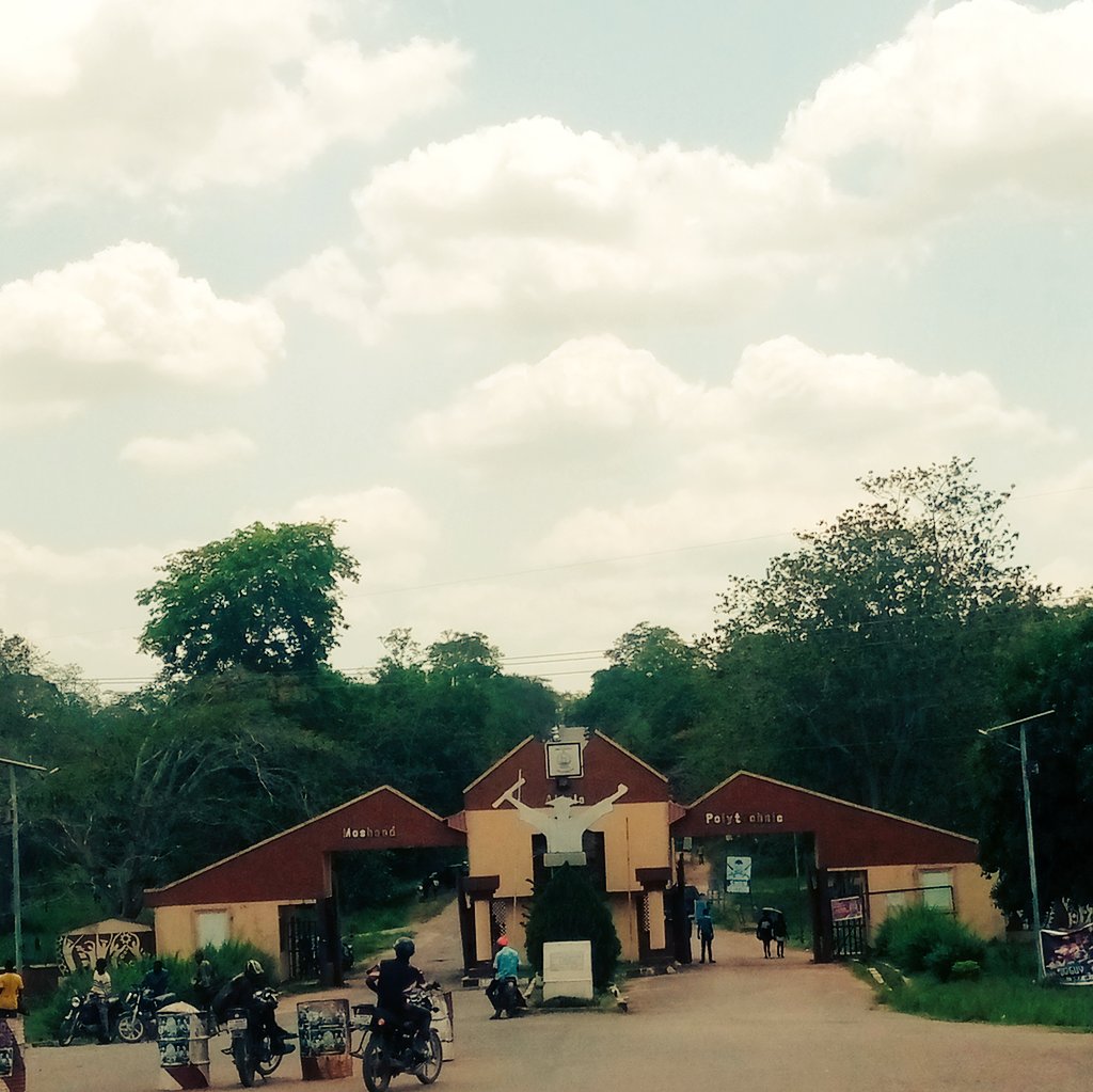 heis_xander's tweet image. Rich man pikin go think say na Zoo
#mapoly