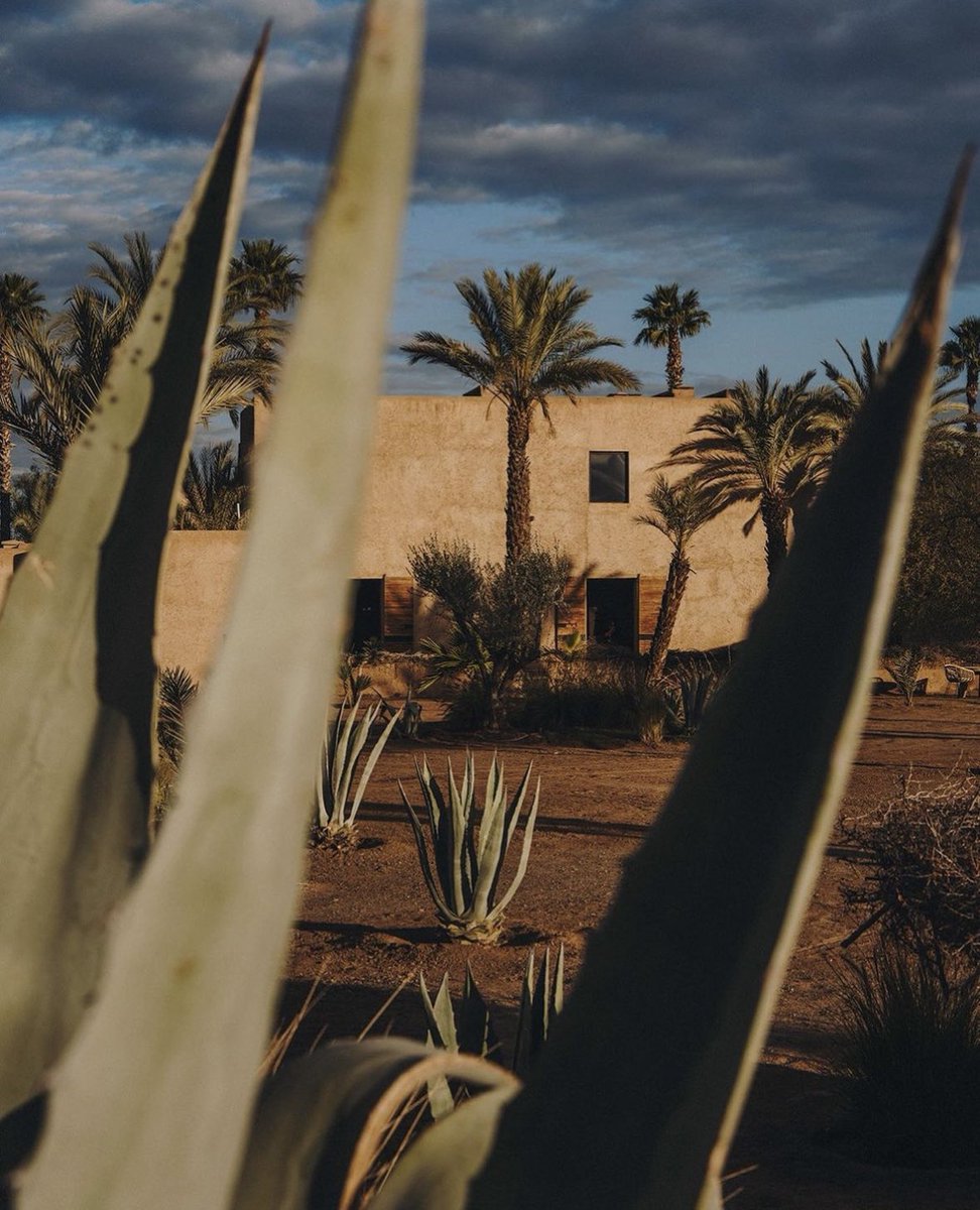 NATALIALABEL's tweet image. I have genuine feelings for this beautiful villa in Marrakech.