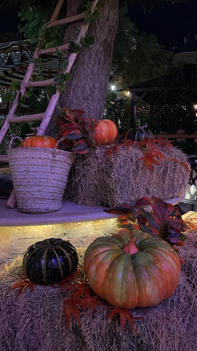 ii912i's tweet photo. 26oct🍂 https://t.co/iyV2kwEQZJ