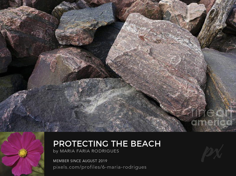 photography8Art's tweet photo. Protecting the Beach
https://t.co/lfVF0TnrjD
#boulders #Rockstars #rock #Stone #google #womenphotographers #canadavisuals
#toronto #oxfordblue #steelgray #brandy #beach https://t.co/TJrQND7d1F