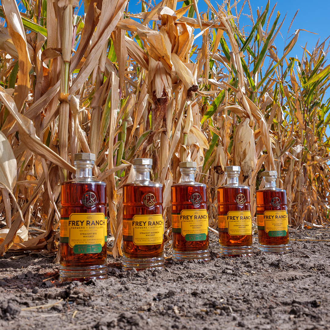 We're thrilled to share that Frey Ranch has been named the Spirits Brand of the Year at <a href="/VinePair/">VinePair</a>'s Next Wave awards! 🥃 Today we're celebrating our whiskey and it's an honor to share the grains of our labor with you. 🌾☀ 
_
Photo: Emily Najera 
Illustration: <a href="/ChloeCushman/">Chloe Cushman</a>