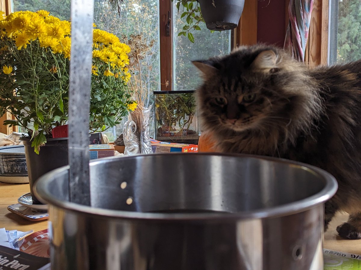 MuketyMuk's tweet image. 120 mm rain since Oct 12 in #Revelstoke 500 msl.  Nr where lcl #debrisflow  #flood ed Hwy 23S  below recent clear-cuts on Mt Begbie E . CYRV reported 80 mm ovr same interval, I.e. 50% more precip fell on W side of valley than E. Ystdy BLDU upper #Arrow #Reservoir #BCStorm #BCWX