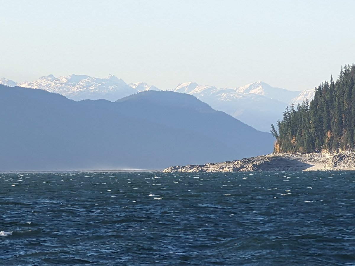 MuketyMuk's tweet image. 120 mm rain since Oct 12 in #Revelstoke 500 msl.  Nr where lcl #debrisflow  #flood ed Hwy 23S  below recent clear-cuts on Mt Begbie E . CYRV reported 80 mm ovr same interval, I.e. 50% more precip fell on W side of valley than E. Ystdy BLDU upper #Arrow #Reservoir #BCStorm #BCWX