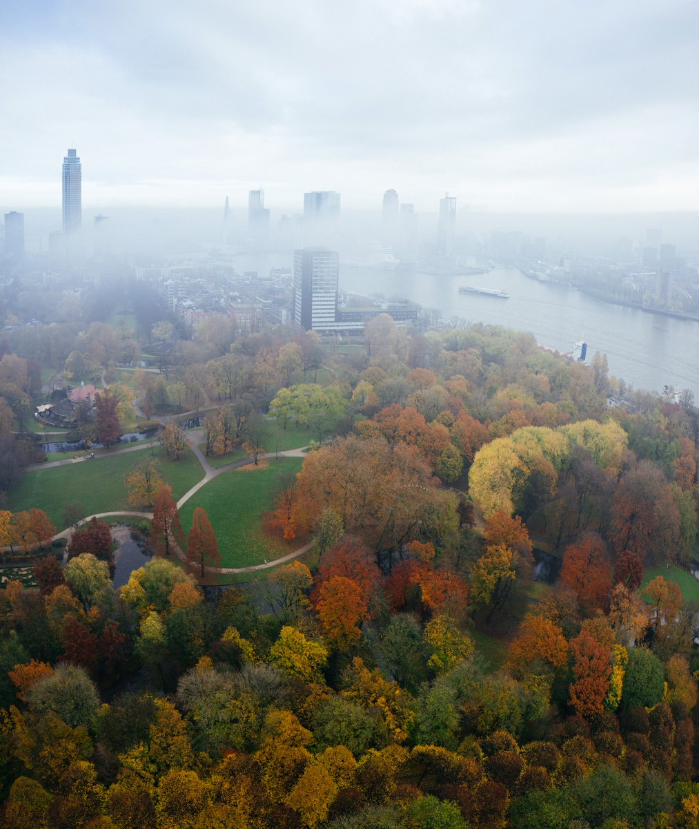 𝗩𝗮𝗻𝗱𝗮𝗮𝗴 𝘄𝗲𝗿𝗱 𝗥𝗼𝘁𝘁𝗲𝗿𝗱𝗮𝗺 𝗼𝗺𝗵𝘂𝗹𝗱 𝗱𝗼𝗼𝗿 𝗲𝗲𝗻 𝗺𝘆𝘀𝘁𝗲𝗿𝗶𝗲𝘂𝘇𝗲 𝗺𝗶𝘀𝘁. 
De stad, normaal gesproken zo levendig en dynamisch, veranderde in een sprookjesachtig landschap. 🌫️ 🏙️

📸 1/2: Martin Verhoef
📸 3: Jan Bijl

#euromast #rotterdam #mist