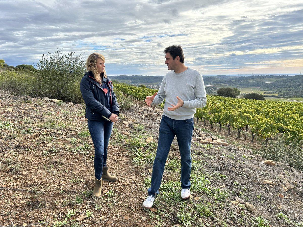 Finally made it to ‘Montmajou’. One of the great white wine vineyards of the Languedoc. #leseminades