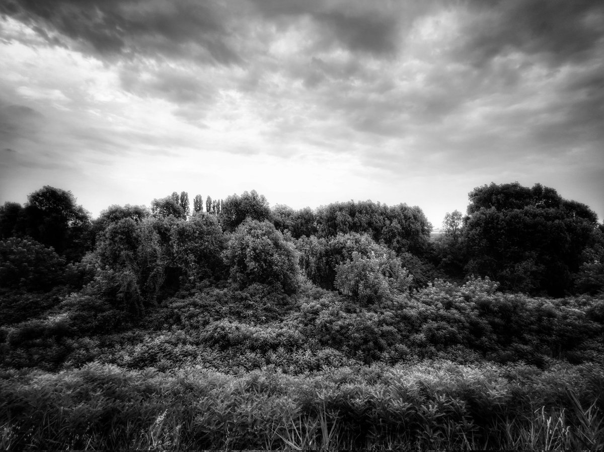 Dove non sento il rumore, Dove non vedo il dolore, Dove non esiste il colore. #bw #bnw #blackandwhite #biancoenero #noiretblanc #monochrome #monochromatic #landscape #paesaggio #alberi #trees #nature #natura #sky #cielo #nuvole #clouds