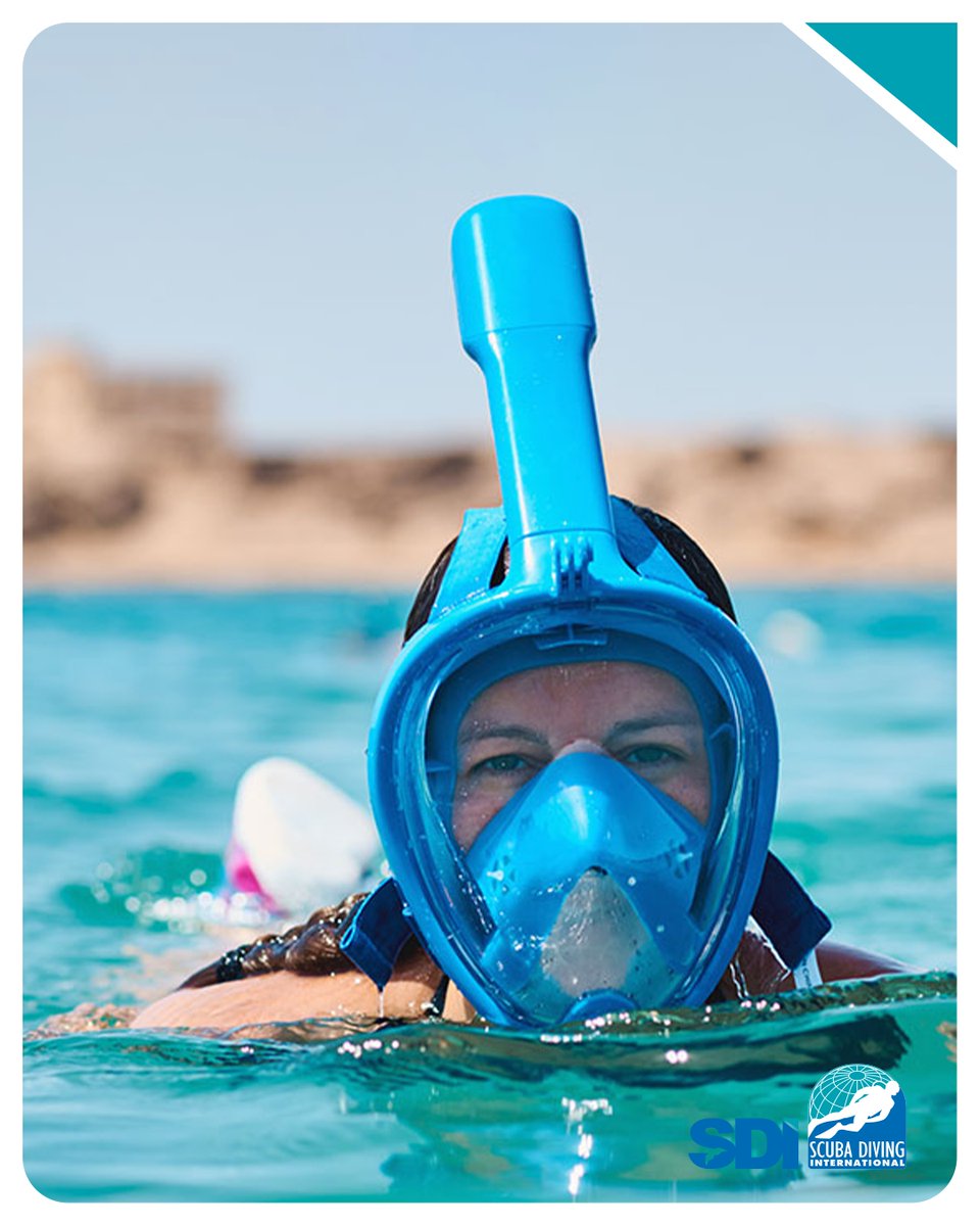 SDI Divers tweet media