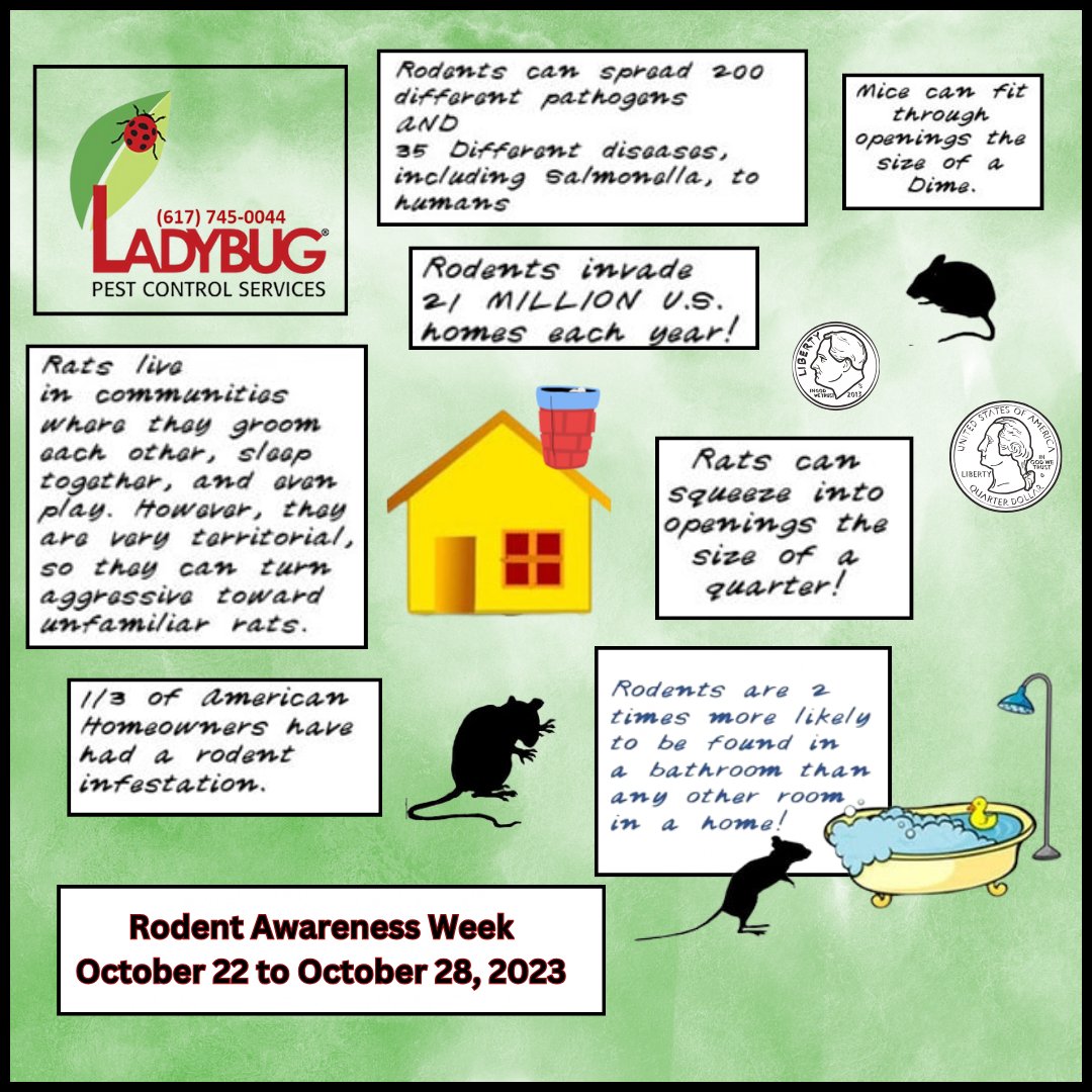 LadybugQuincy's tweet image. #rodentcontrolquincy #ladybugpcs #lbpcs #rodentawarenessweek #rodentawarenessquincy #womenownedbusiness #smallbusiness #autumpestcontrol