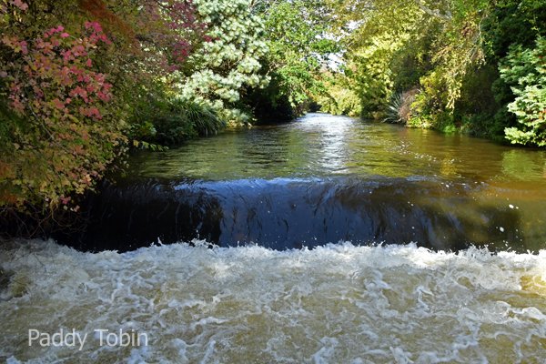 PaddyTobin5's tweet photo. A River Runs Through It. https://t.co/8v2MLioPAV https://t.co/6eG09GNUB6