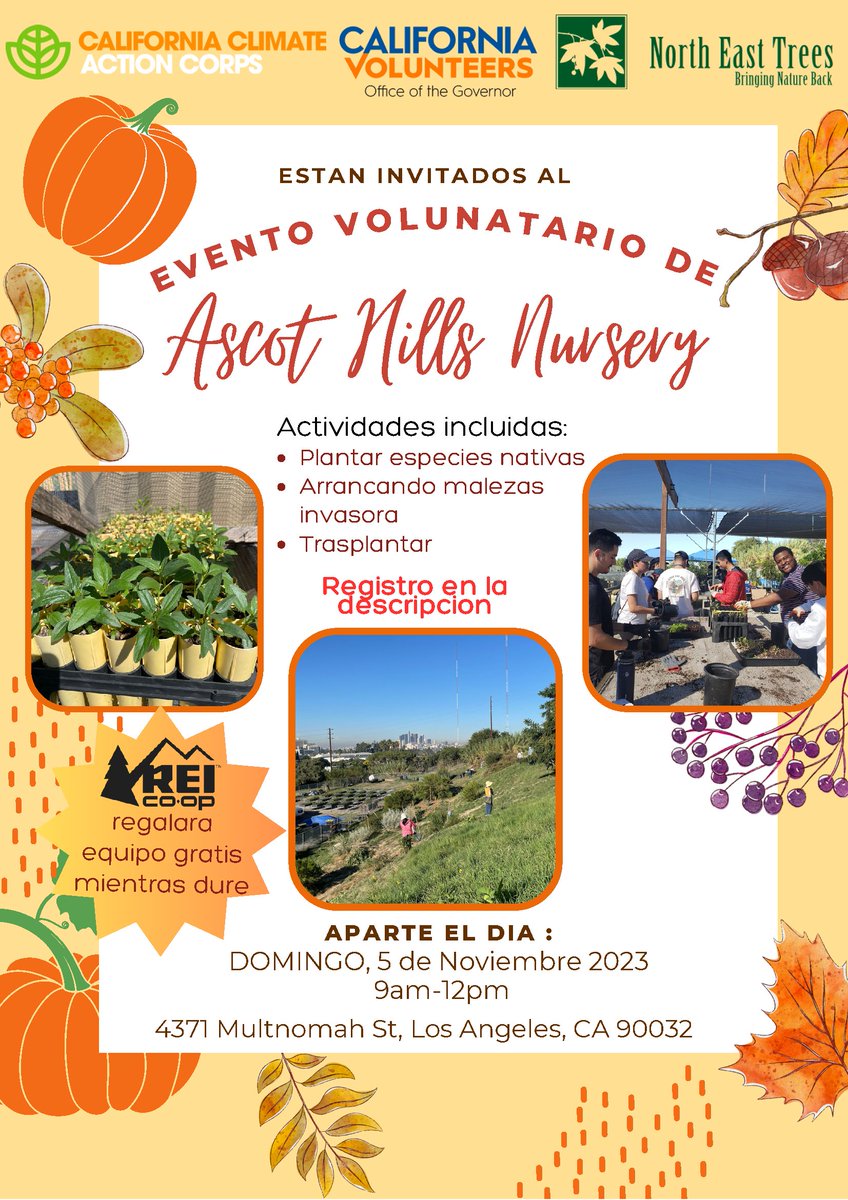 You're invited to volunteer at our Native Plant Nursery on Sunday 5 November from 9 am until 12 noon.

With giveaways from <a href="/REI/">REI</a> !!

More info at: facebook.com/NorthEastTrees…