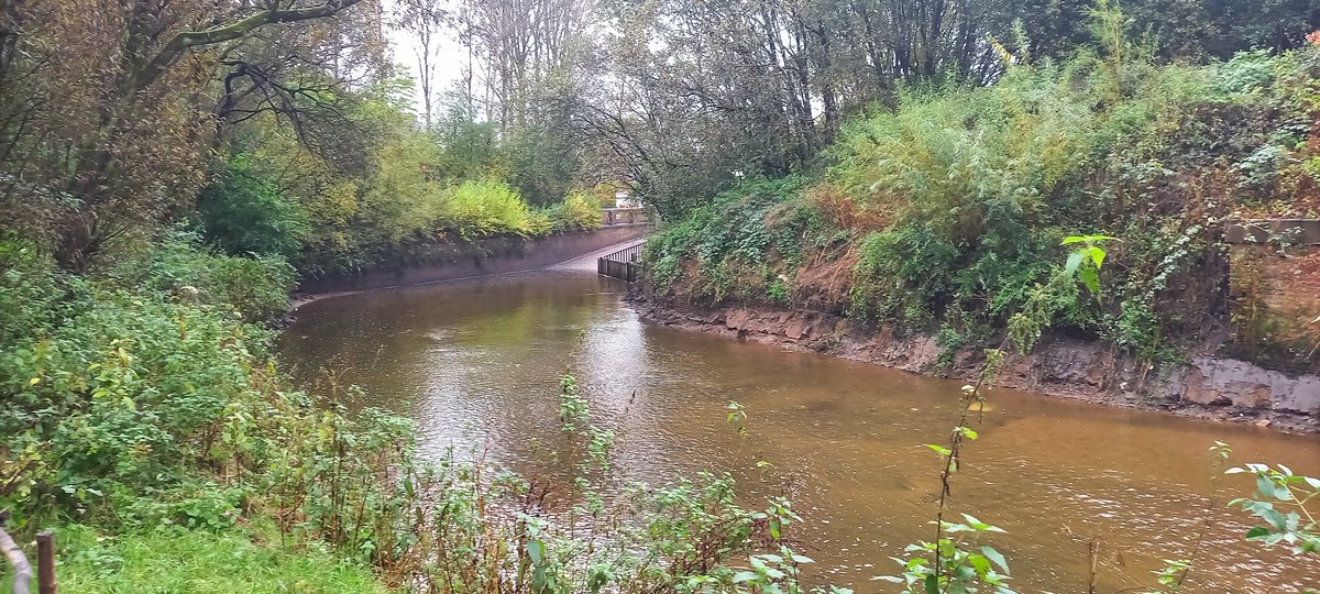 gardener_nick's tweet photo. 2 machine operators, 36 lorries, 2 weeks and alot of paperwork later we have successfully removed nearly 600 tonnes of silt from the river medlock in Manchester, reducing flood risk to the city. https://t.co/vUi32MKG73