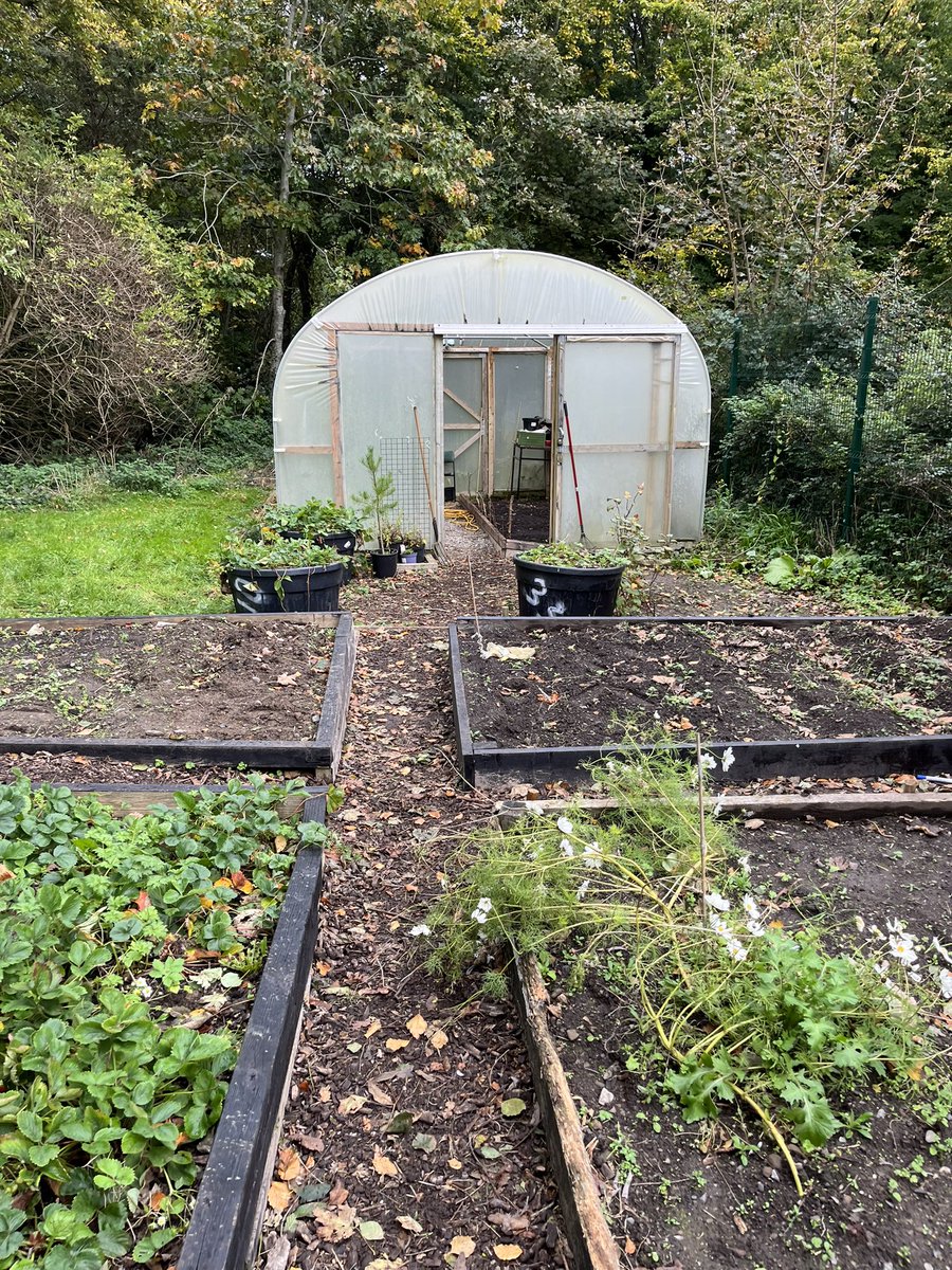 Colman Power tweet media