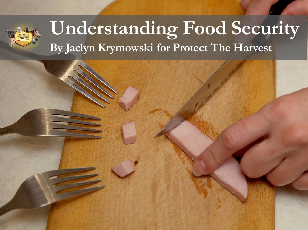 Understanding Food Security - It’s more important than ever
#fooddeserts #food #foodshortage #costoffood #hunger #transportationcosts #supplychainissues  #nofood #unaffordablefood #hungrykids
protecttheharvest.com/news/understan…