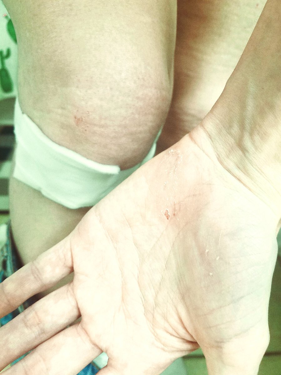 Eliana D'Angelo 🏳️‍⚧️🎹 tweet media