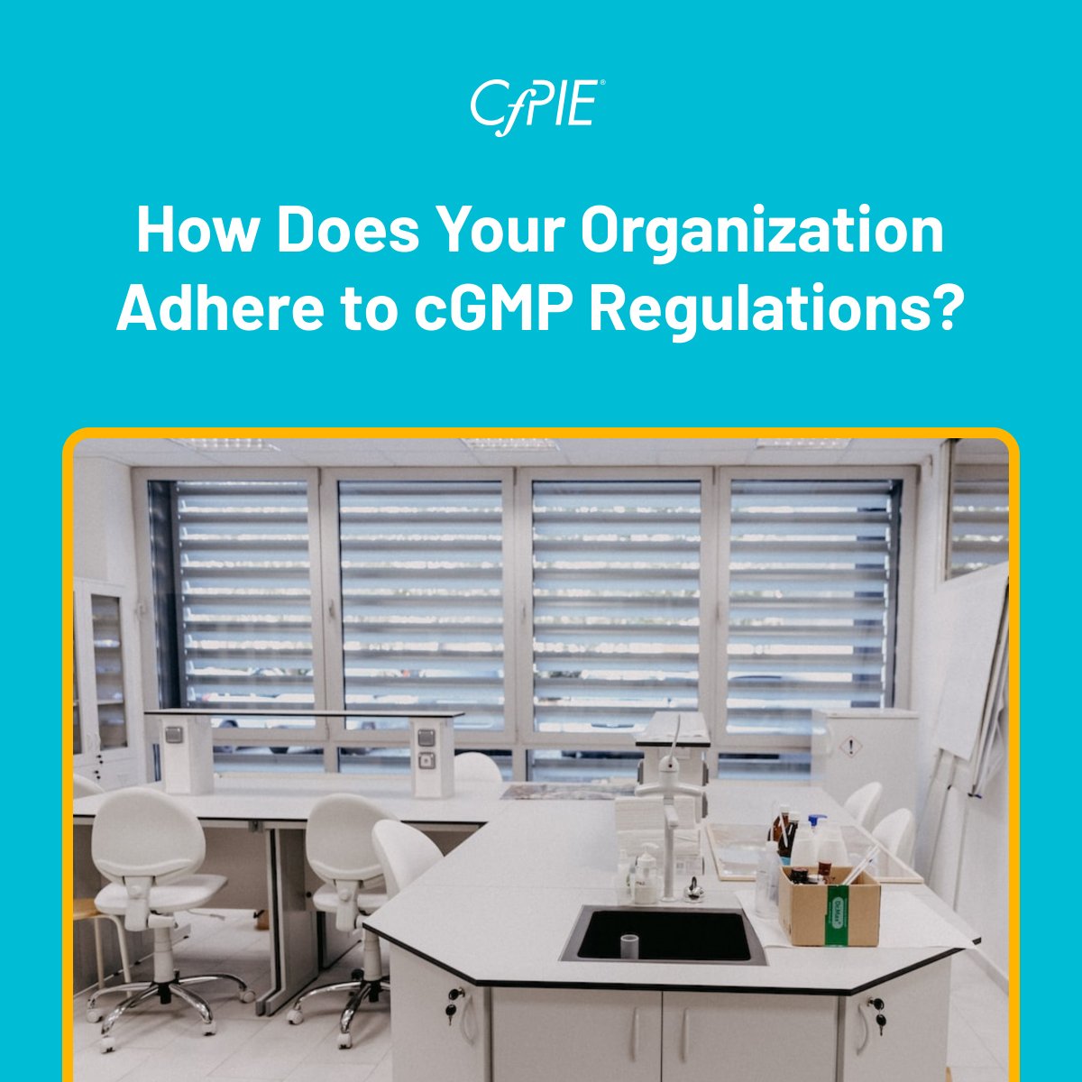 CfPIE's tweet image. Implementing cGMP regulated processes into your manufacturing system is a necessity that’s needed as soon as possible to develop quality control standards and minimize regulatory clashes.

Click here to learn how.  cc94.co/3Qb5AA1 #lifesciences