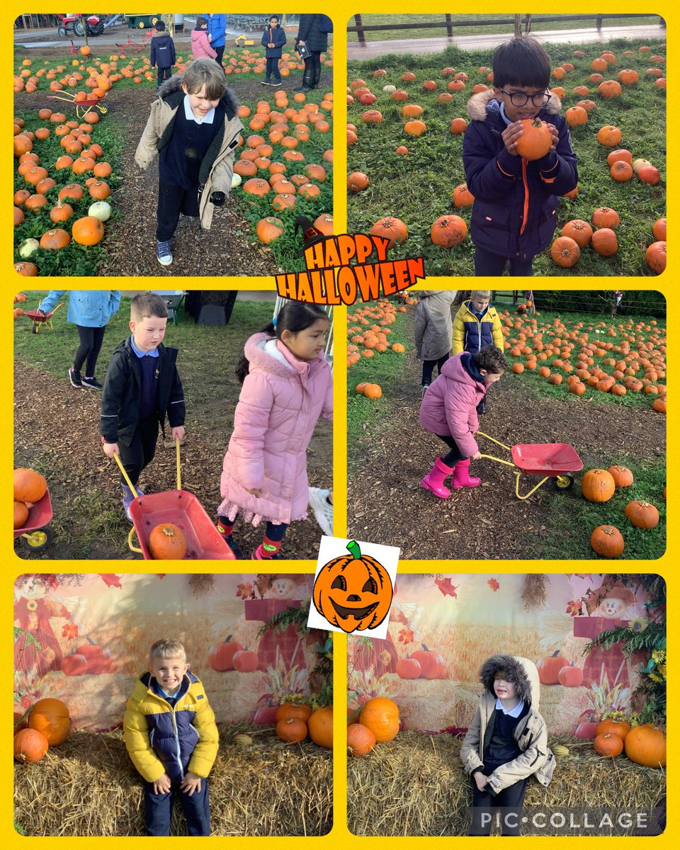 meadowbanksch's tweet photo. What a wonderful day for #MbHoneysuckleclass at Cefn Mably Farm today. We fed and stroked the animals, explored the pumpkin patch and had lots of fun at the park and soft play area. #outdoorlearning #schooltrips #smilesallday https://t.co/W8h4a8fd6K