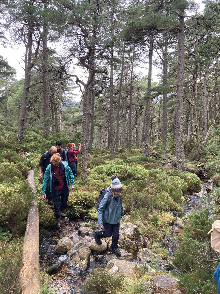 Was a pleasure to take a group of folks from @EndangeredLands funded projects across Europe around Invereshie &amp; Inshriach NNR