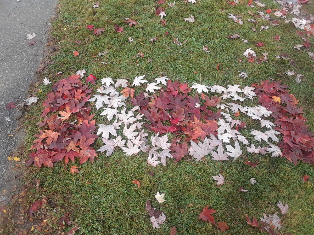 West Nissouri students showing their creativity at recess today!