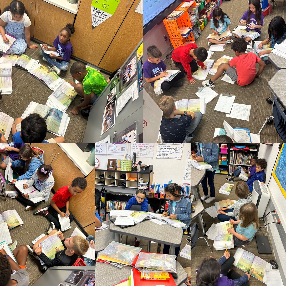 Amber Disney tweet media