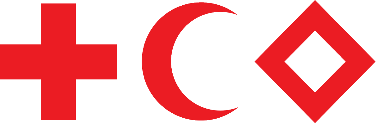 #OnThisDay in 1863 the a conference organised by the so-called 'Committe of Five' began with the aim of improving medical services on the battlefield; often seen as a starting point for the Red Cross #dailyfootnote