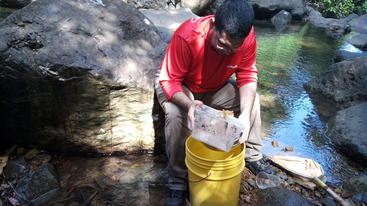 Luquillo LTER tweet media