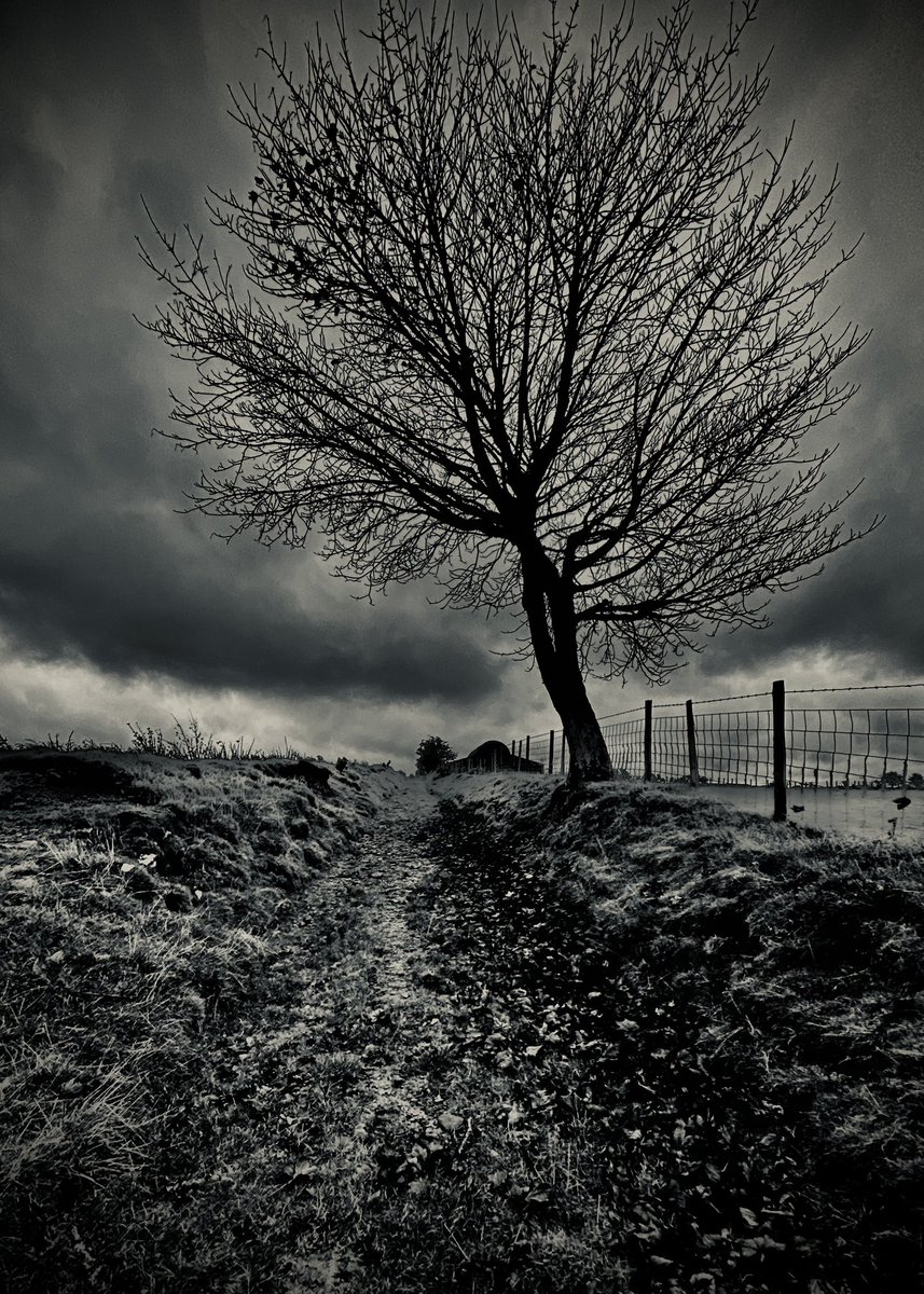 Wrth i’r tywydd garw gyradd cyn iddi nosi…Nos da x

As the rough weather arrived before it got dark…Nos da x

<a href="/StormHour/">#StormHour</a> <a href="/ThePhotoHour/">#ThePhotoHour</a> 
#WildWestWales🏴󠁧󠁢󠁷󠁬󠁳󠁿