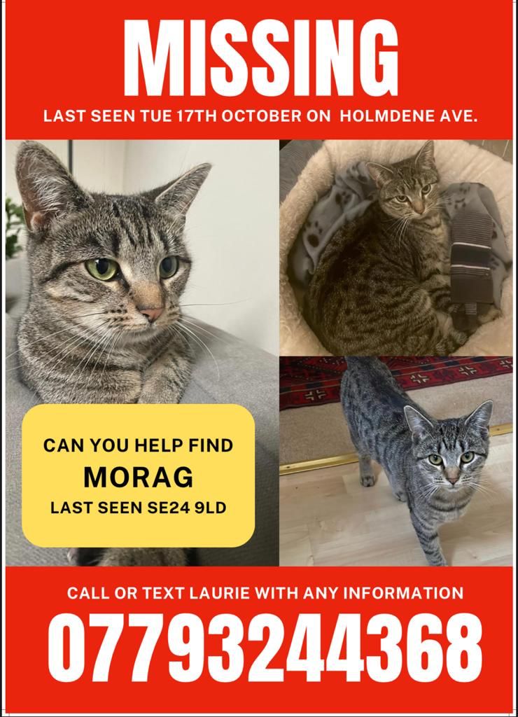 Gill (@fleurfox) on Twitter photo Please help find Morag. Owners distraught. She could be anywhere, shut in or completely lost. Search area being widened now. Thank you. #HerneHill #Dulwich #Camberwell #Brixton <a href="/hernehillforum/">Herne Hill Forum</a> <a href="/BrockwellParkCP/">Brockwell Park MAC</a> #Cat #LostCat #Caturday <a href="/DogLostUK/">DogLost</a> Please help find Morag. Owners distraught. She could be anywhere, shut in or completely lost. Search area being widened now. Thank you. #HerneHill #Dulwich #Camberwell #Brixton <a href="/hernehillforum/">Herne Hill Forum</a> <a href="/BrockwellParkCP/">Brockwell Park MAC</a> #Cat #LostCat #Caturday <a href="/DogLostUK/">DogLost</a>