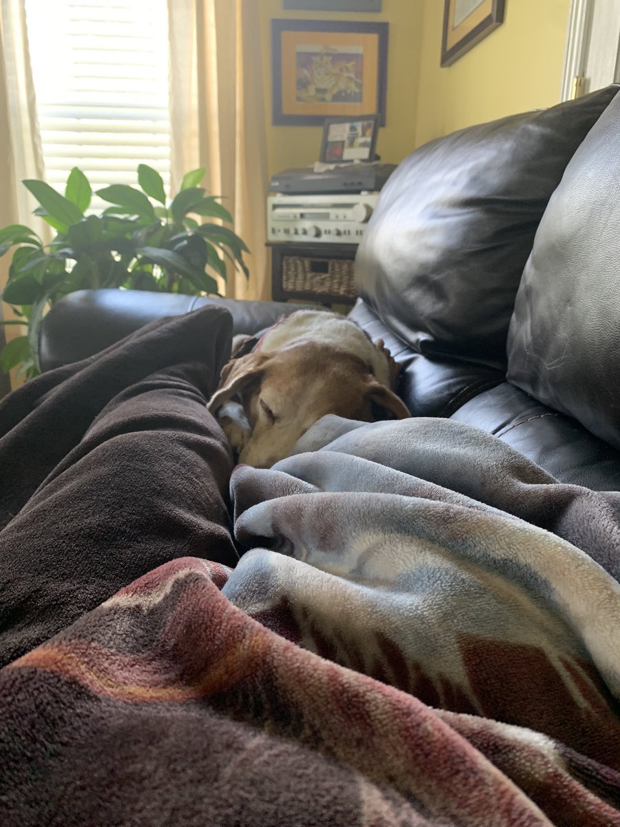 Laying with my sissy to help her back feel better