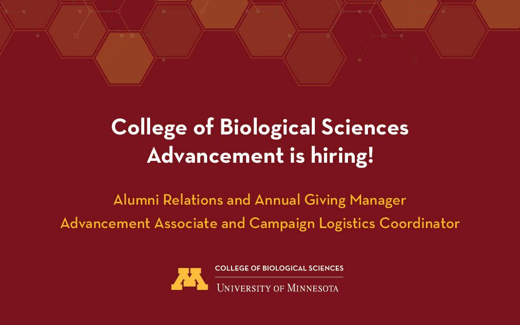 CBS Advancement is hiring! Apply for the Alumni Relations and Annual Giving Manager (Job ID358263) and Advancement Associate and Campaign Logistics Coordinator (Job ID358264) today! Find position descriptions at buff.ly/46MYE1G #umn