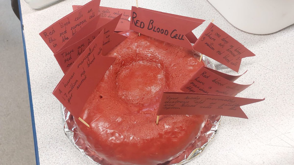 CoedcaeSchool's tweet photo. We had some fantastic entries to our Biology Week Bake Off!!
1st place - Thaila's heart cake
2nd place - Annabelle's red blood cell and Delila's organ cake
3rd place - Maia's leaf cakes and Rory's DNA
#BiologyWeek
#IAmABiologist
#BioBakes
#RSB https://t.co/MSbkt180Ai
