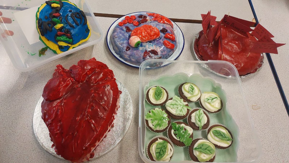 CoedcaeSchool's tweet photo. We had some fantastic entries to our Biology Week Bake Off!!
1st place - Thaila's heart cake
2nd place - Annabelle's red blood cell and Delila's organ cake
3rd place - Maia's leaf cakes and Rory's DNA
#BiologyWeek
#IAmABiologist
#BioBakes
#RSB https://t.co/MSbkt180Ai
