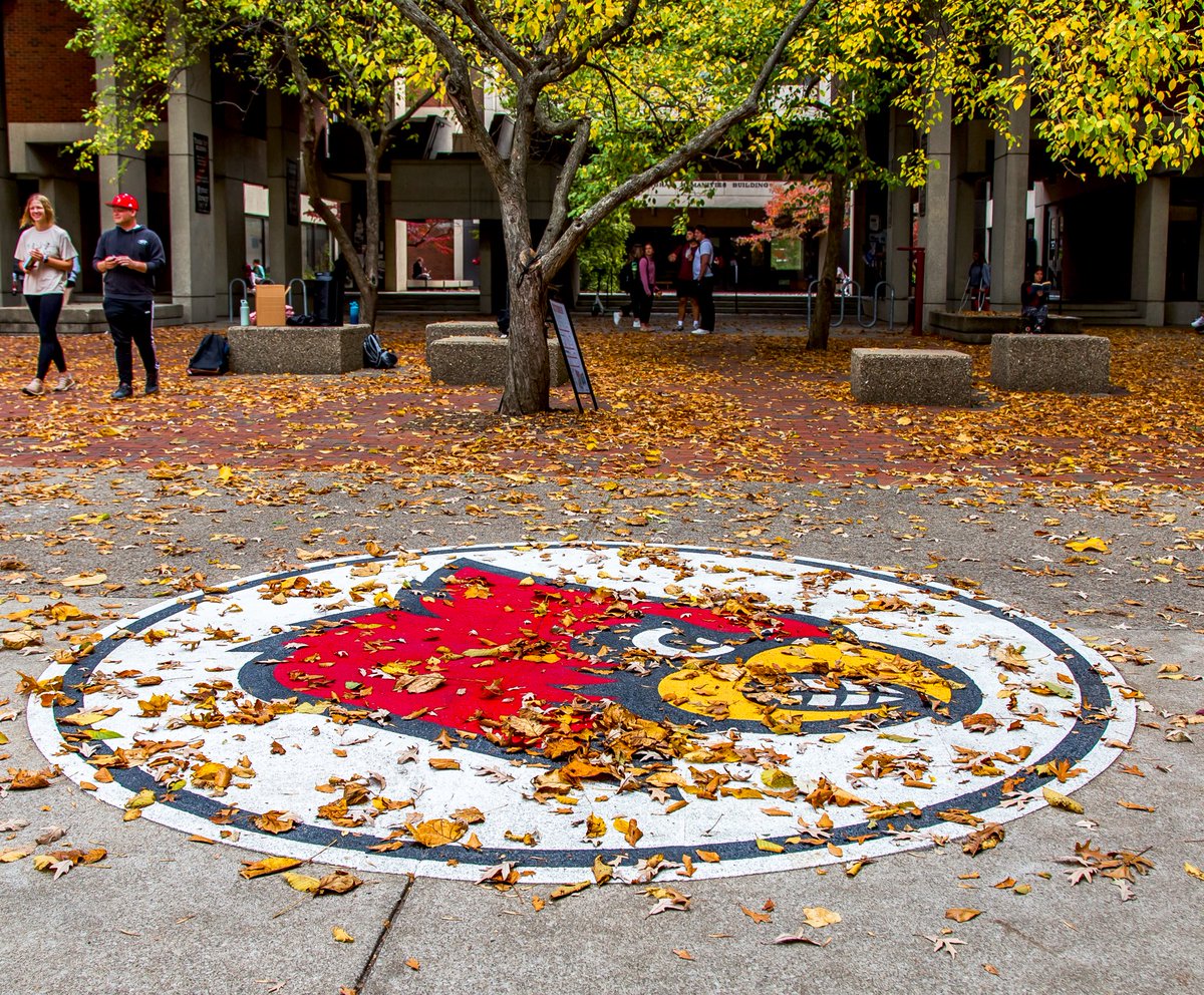 University of Louisville tweet media