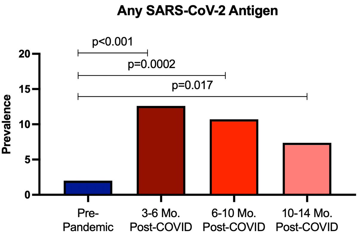 Recent @UCSF #LIINC preprint finding SARS-CoV-2 antigen in plasma up to 14 months post-COVID. Samples prior to vaccine/reinfection. I now believe this is happening in at least some people. Major question - does this cause #LongCovid ? To be determined. medrxiv.org/content/10.110…