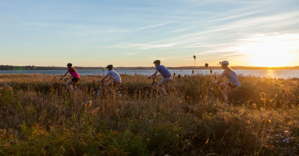 ⚠️ Please note that the Parks Canada website will be unavailable from Friday, Oct. 27, 8 pm ET to Sunday, Oct. 29, 6 am ET due to maintenance. For information about PEI National Park, please contact: 902-672-6350 ➡ parks.canada.ca/maintenance-web