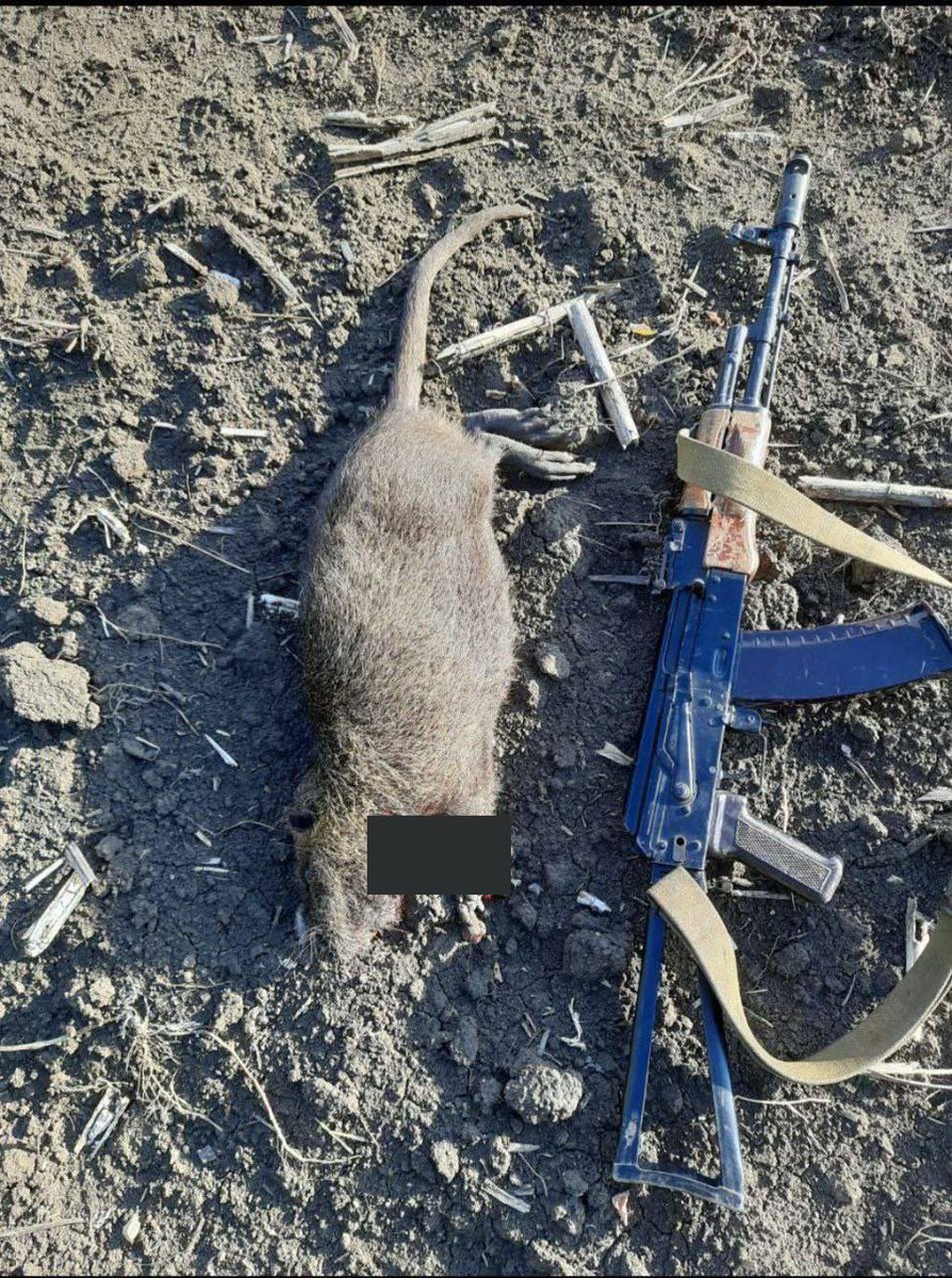 OSINTtechnical tweet media