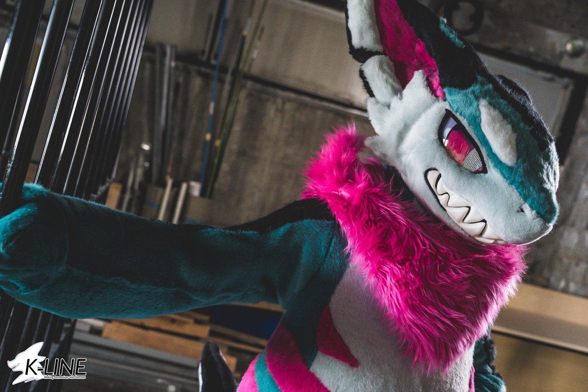 czbupent's tweet photo. 🦈
#FursuitFriday https://t.co/Cbnit8DShI