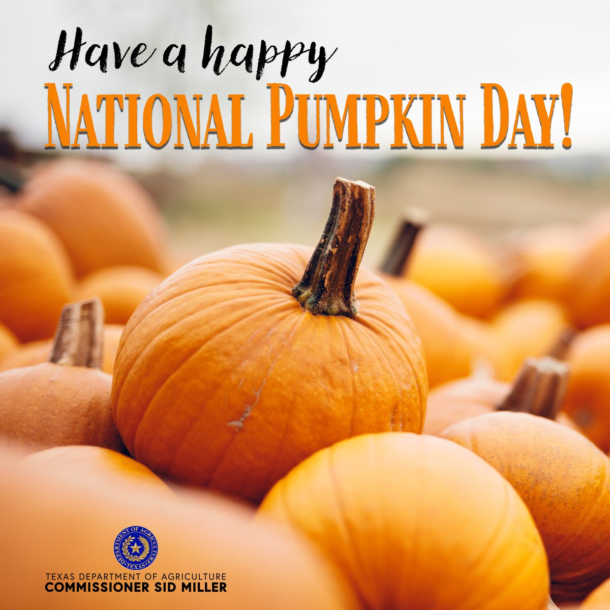 Commissioner Miller would like to wish everyone a happy #NationalPumpkinDay! Texas is the fourth-leading state in pumpkin output, producing more than 100 million pounds of pumpkins. This a testament to our great state's dedicated farmers and ranchers. #TexasAgricultureMatters