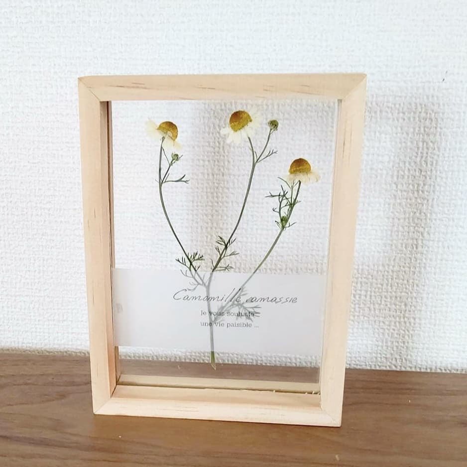 BookKasama's tweet photo. #ボタニカルライフ 出店者紹介
#kalco /11日のみ・WS
葉っぱやお花を用いたアート作品を販売しています
無着色の自然な色合いや美しさをご覧頂けたら嬉しいです
時間経過でアンティーク風に変化するのも味わい深いですね
紅葉が進んだ場合はWSもご用意します。お子さまと一緒に秋を楽しんでみませんか https://t.co/BWWAwZ0Gnk