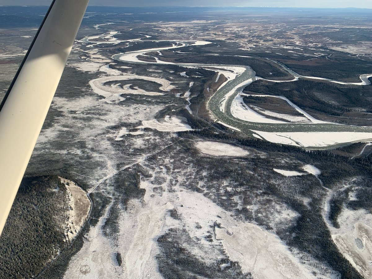 Sveta Stuefer tweet media