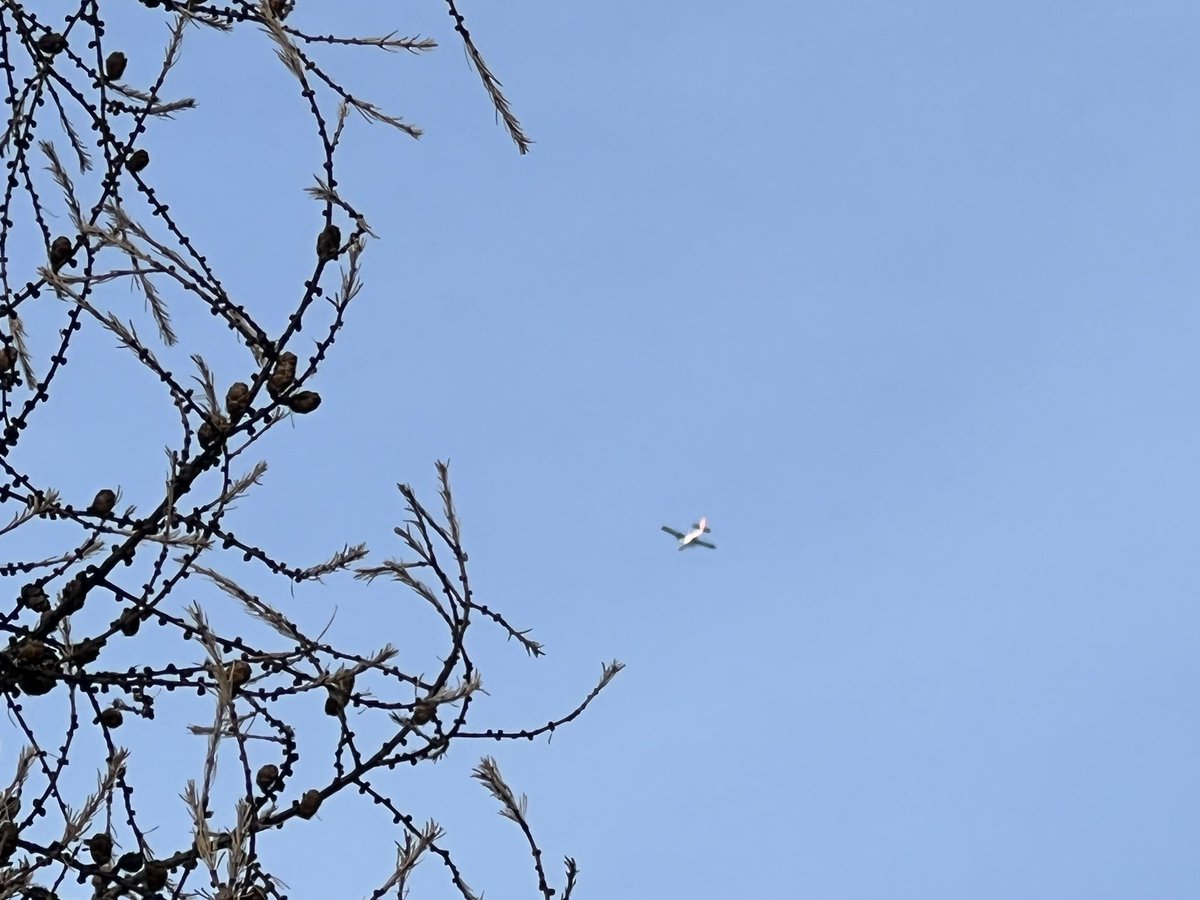 Sveta Stuefer tweet media