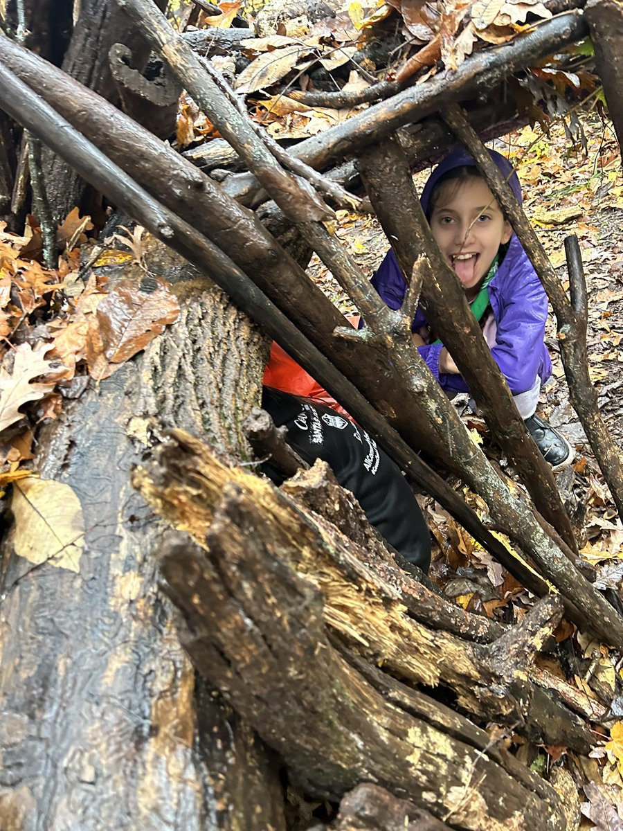 D70HMSOutdoorEd's tweet photo. Shelter building at outdoor ed https://t.co/ryWKQqhNVV