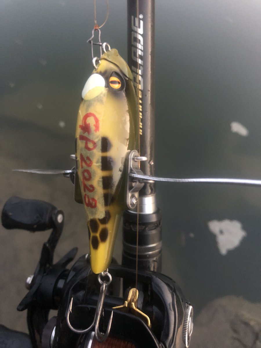 Verde0603's tweet photo. おげれつ….。
38㎝ 670g
河童クローラー
11種目
#ゲーリーヤマモト
#デカハネgp https://t.co/cu3uieTWDE