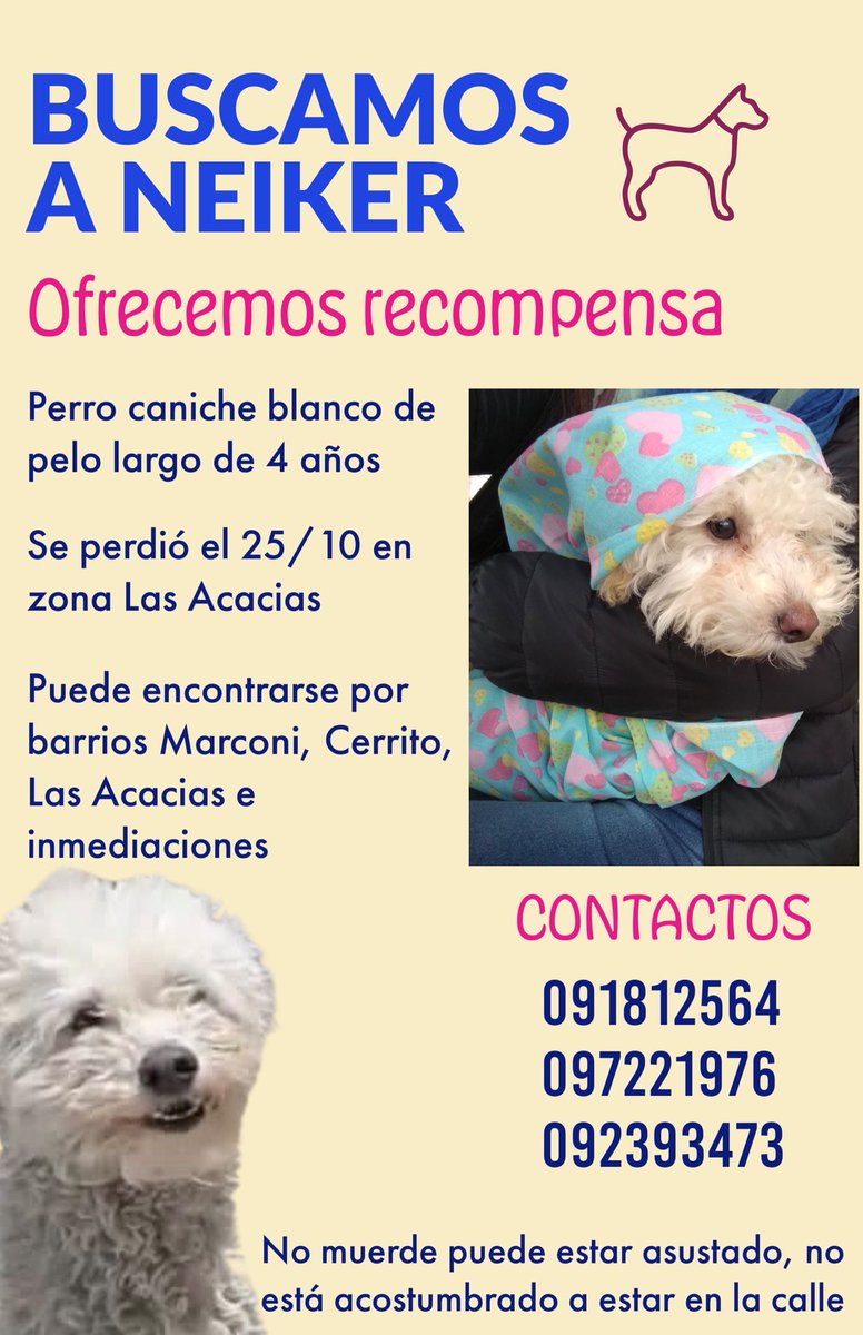 Johana Beltrán (@patascortas_) on Twitter photo 