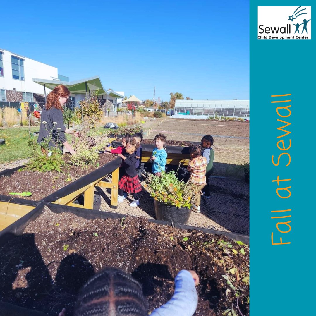 SewallChildDevCtr tweet media