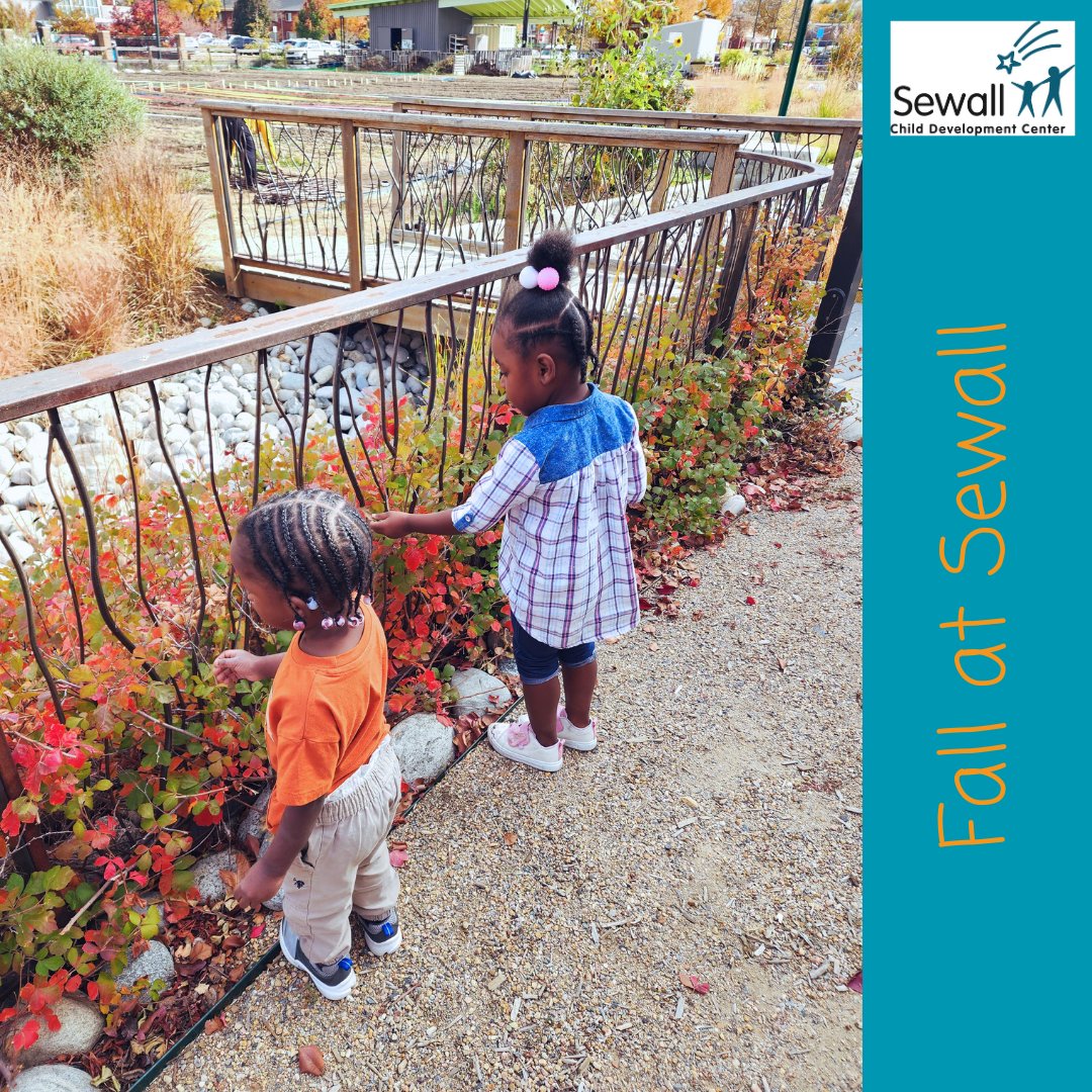 SewallChildDevCtr tweet media