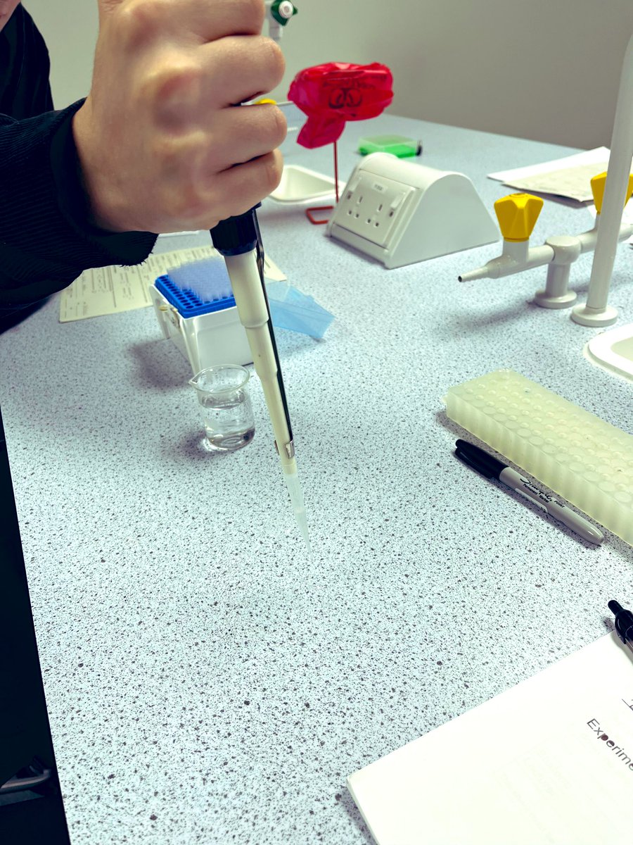 Ms Diamond tweet media