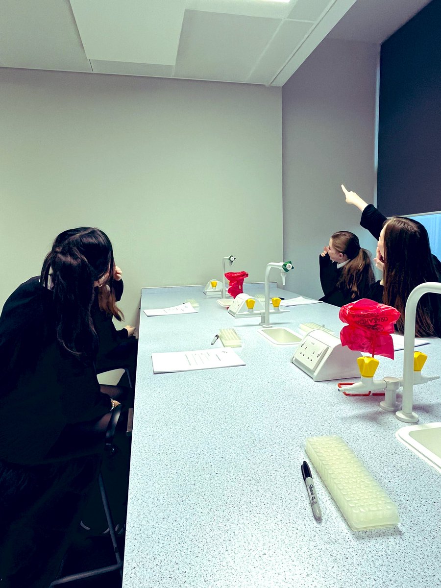 Ms Diamond tweet media