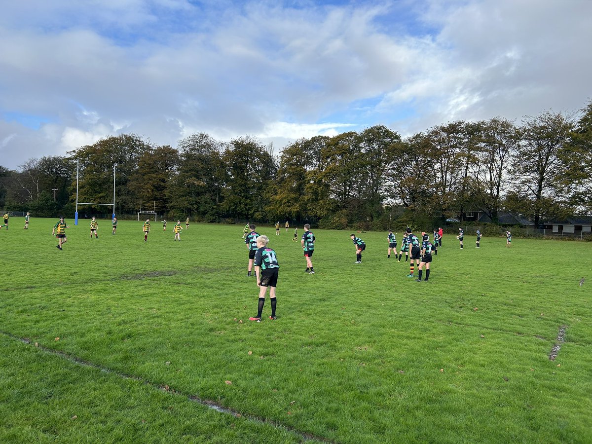 stefan andrews tweet media