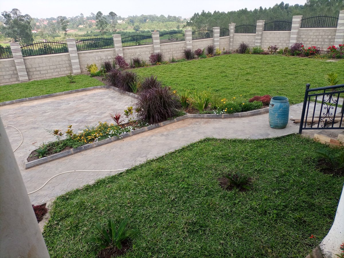 EcomiceM's tweet photo. You could wake up to this beautiful sight of your own compound. This refreshing view will give you space for peaceful thoughts and plans. For beautiful landscapes like these, contact us.

Let's Inspire Freshness
Uganda
0778623536
https://t.co/Y3viTTKwey

#homes #realestate https://t.co/EbfMvCxWLB