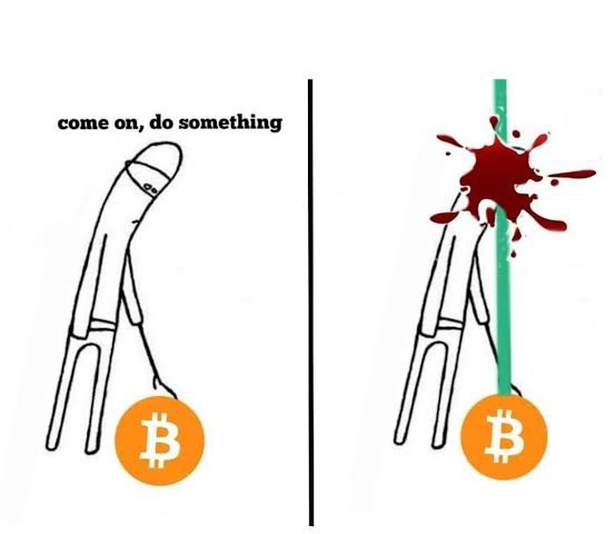 Wen next pumperinooooo